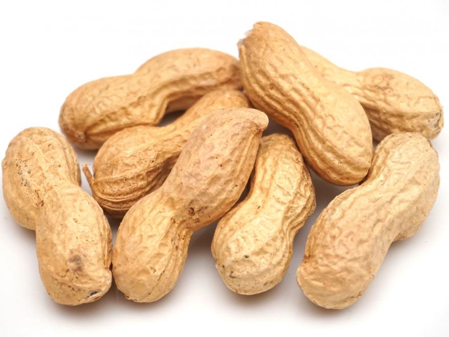 Peanuts