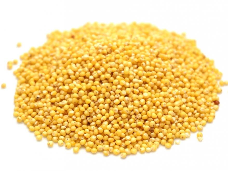 Millet
