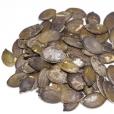 Pumpkin Seeds