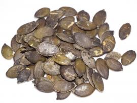 Roasted Pumpkin Seeds