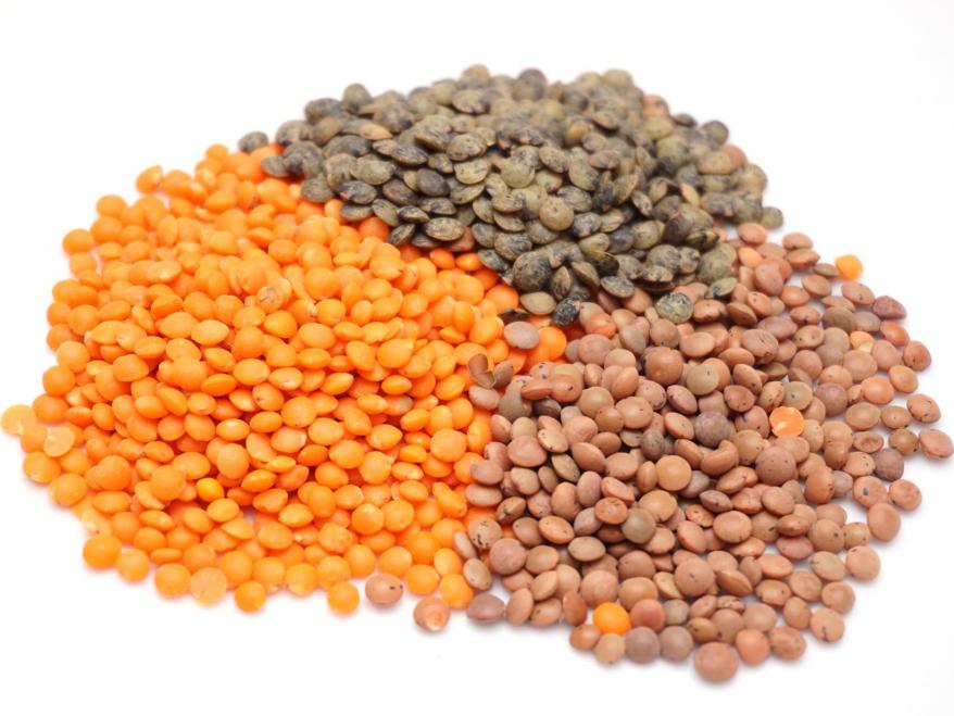 Lentils