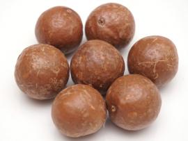 Macadamia Nuts