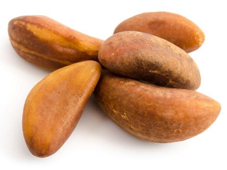 Brazil nuts (Para nuts)