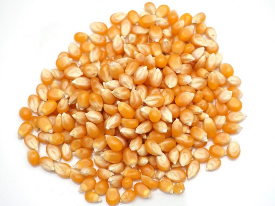 Popcorn