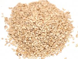 Sesame