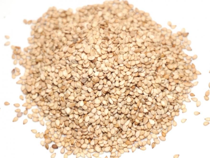 Sesame