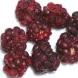 Blackberries